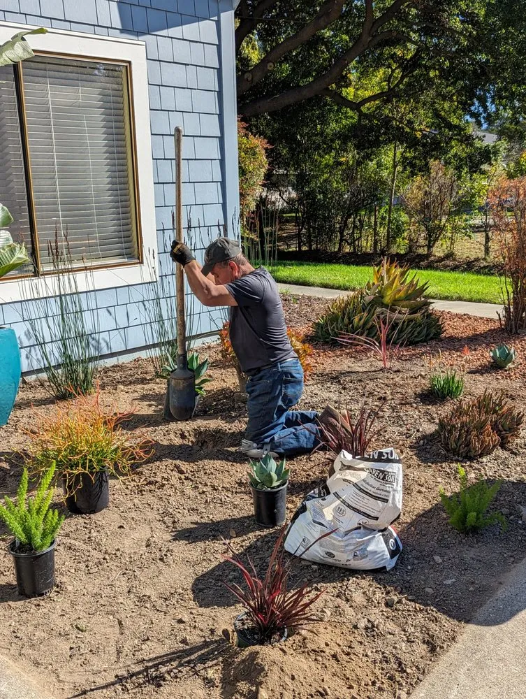 Professional residential landscaping in Novato, CA by Will's Landscaping