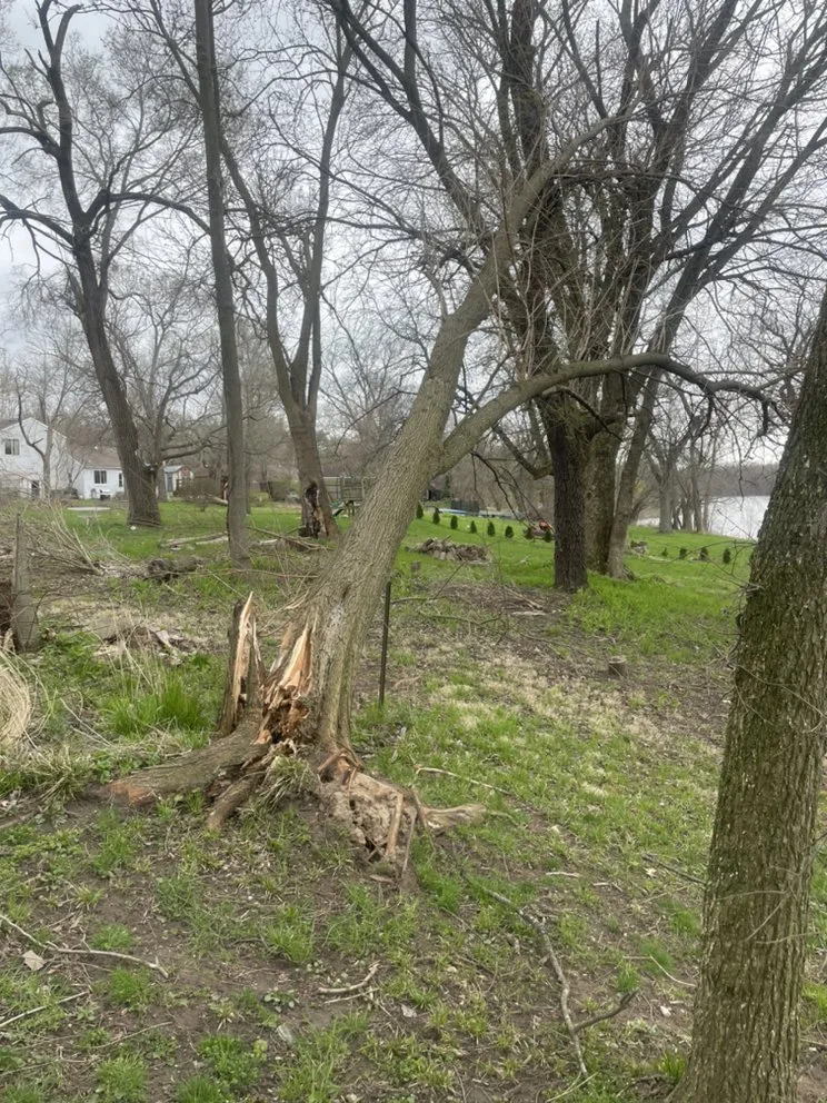 Professional garden landscaping in Wilmington, IL by Wills Lawn and Landscaping