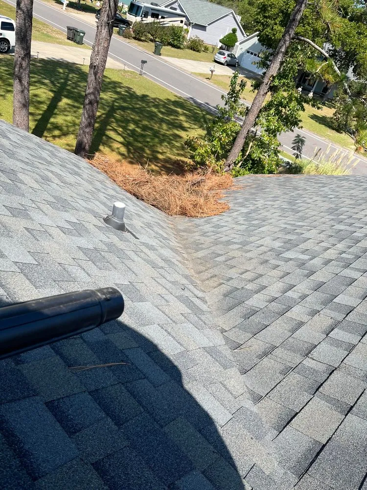 Trusted lawn care service for beautiful yards across Fayetteville, NC - Wills Lawn Care