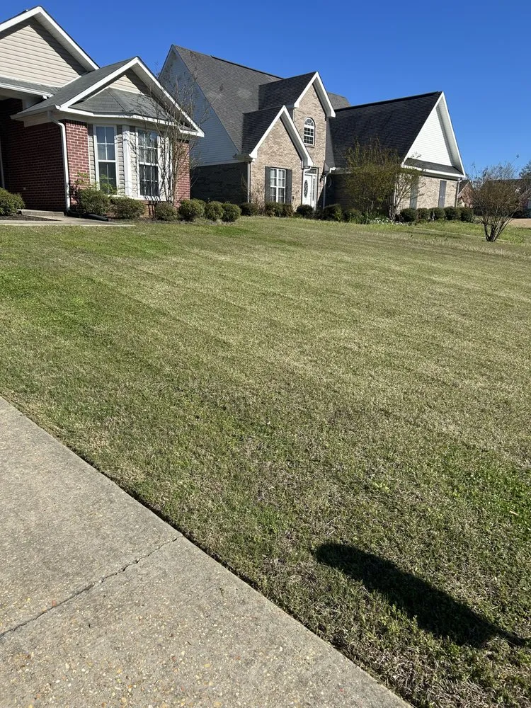 Expert yard maintenance in Guntown, MS - Will’s Lawn Care