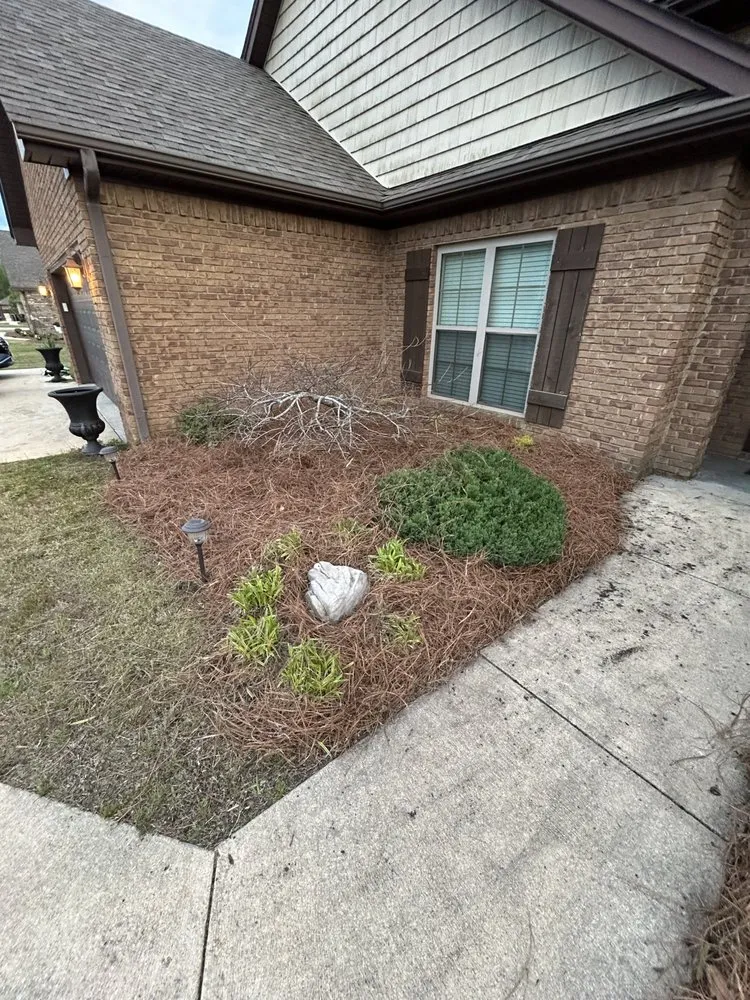 Expert garden landscaping in Guntown, MS by Will’s Lawn Care