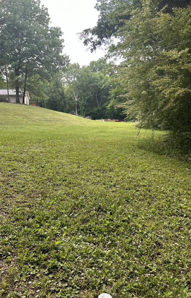 Top-rated lawn care service in Guntown, MS - Will’s Lawn Care