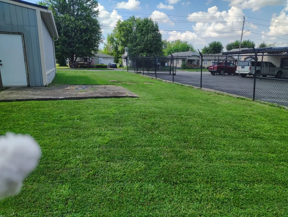 Expert lawn mowing service experts serving Indianapolis, IN - Will's Lawn Care
