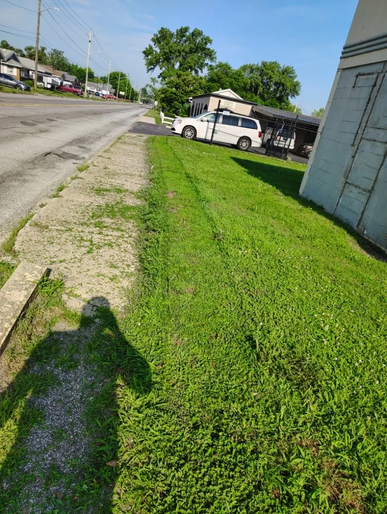 Trusted yard cleanup service for outdoor upgrades across Indianapolis, IN - Will's Lawn Care