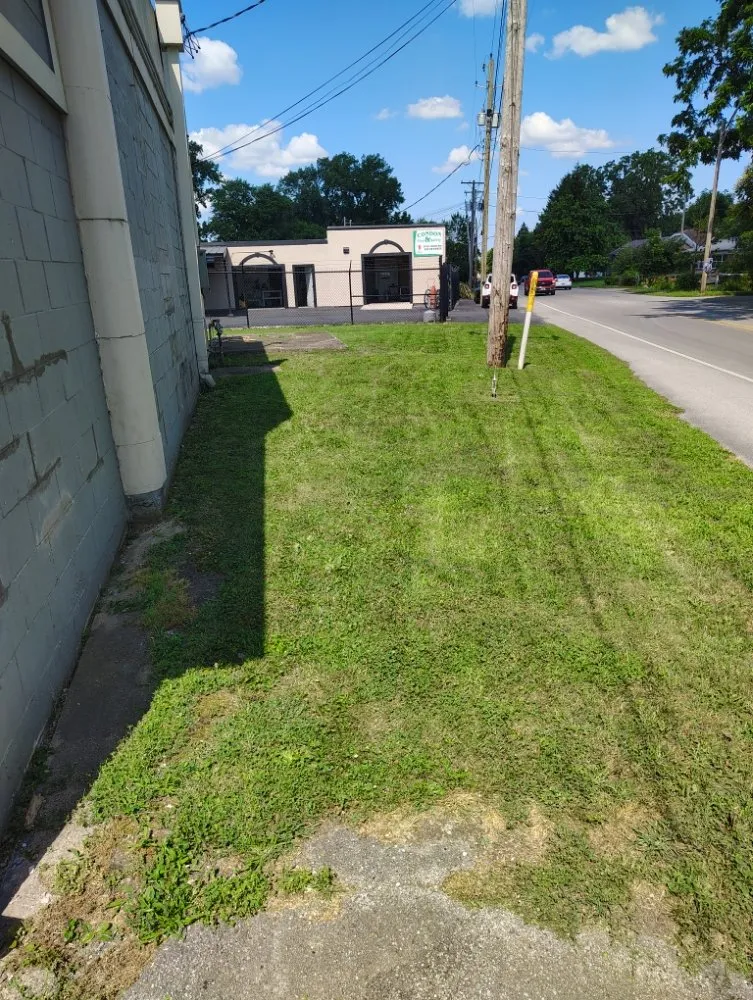 Reliable landscape design for homes across Indianapolis, IN - Will's Lawn Care