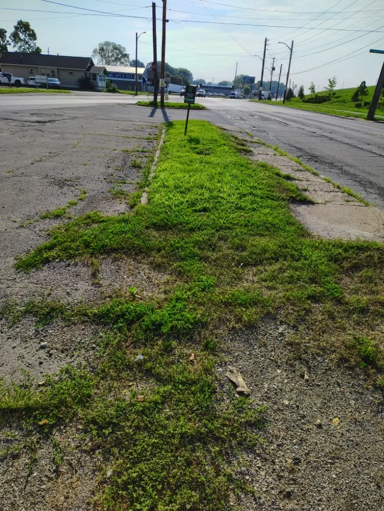 Local yard maintenance for beautiful yards in Indianapolis, IN by Will's Lawn Care