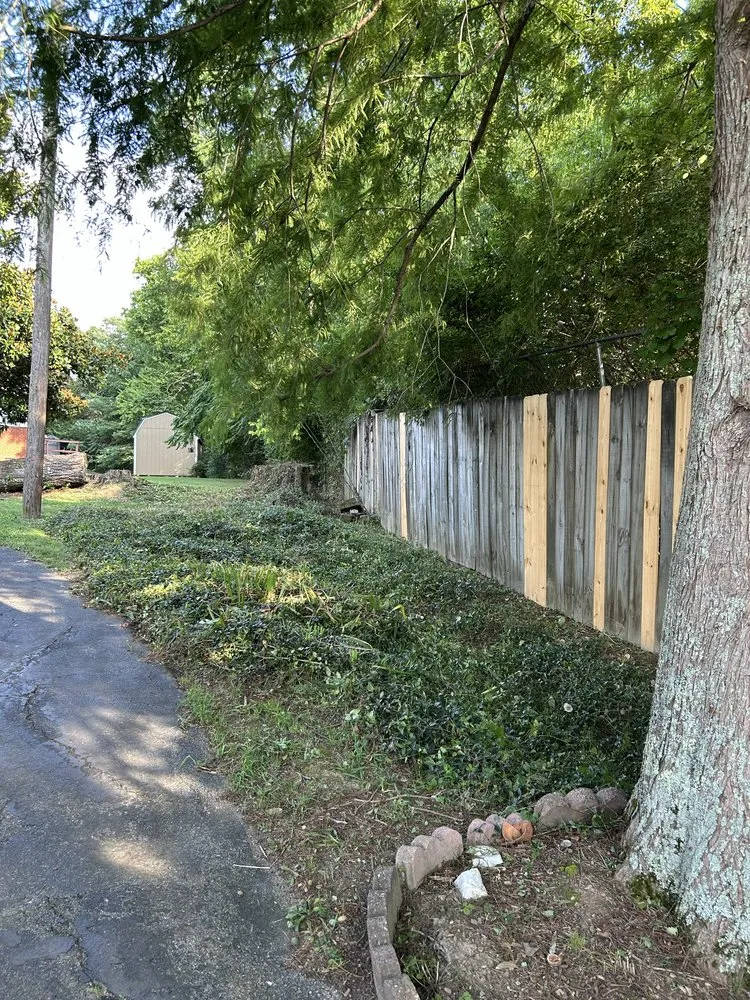 Local yard cleanup service experts serving Newport, TN - Will’s Lawn Service Plus