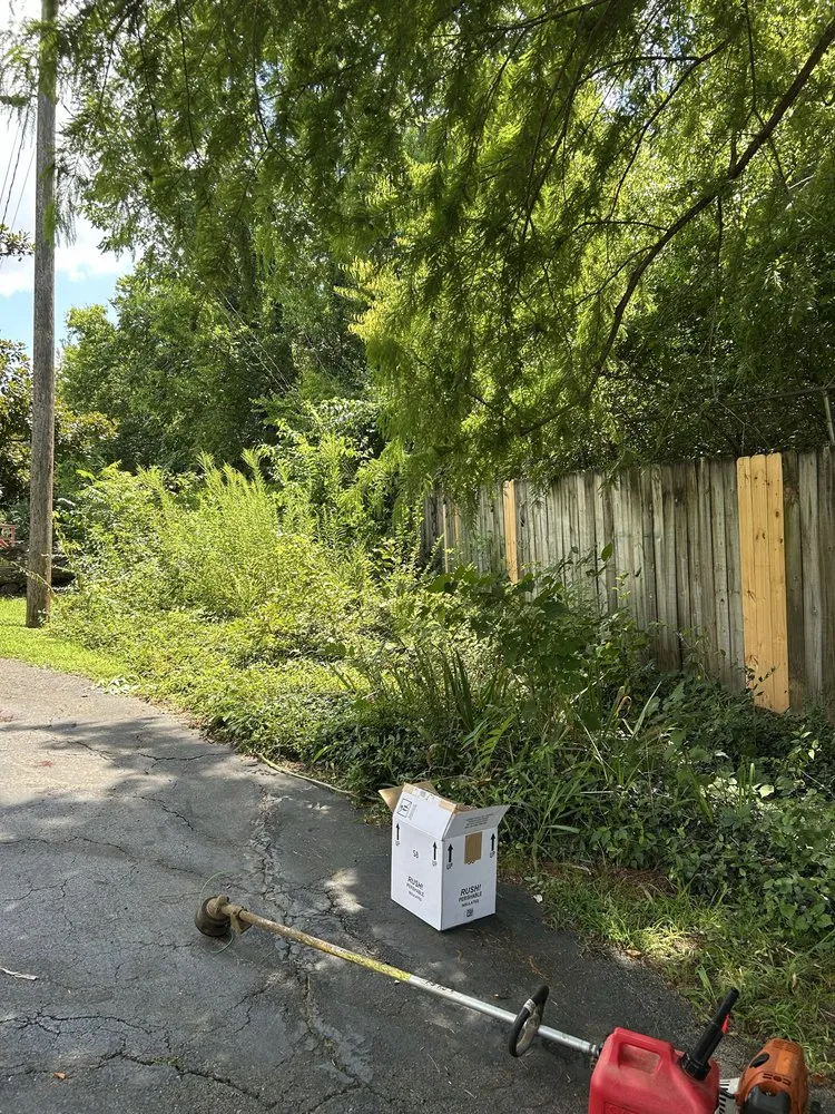 Trusted lawn care service experts serving Newport, TN - Will’s Lawn Service Plus