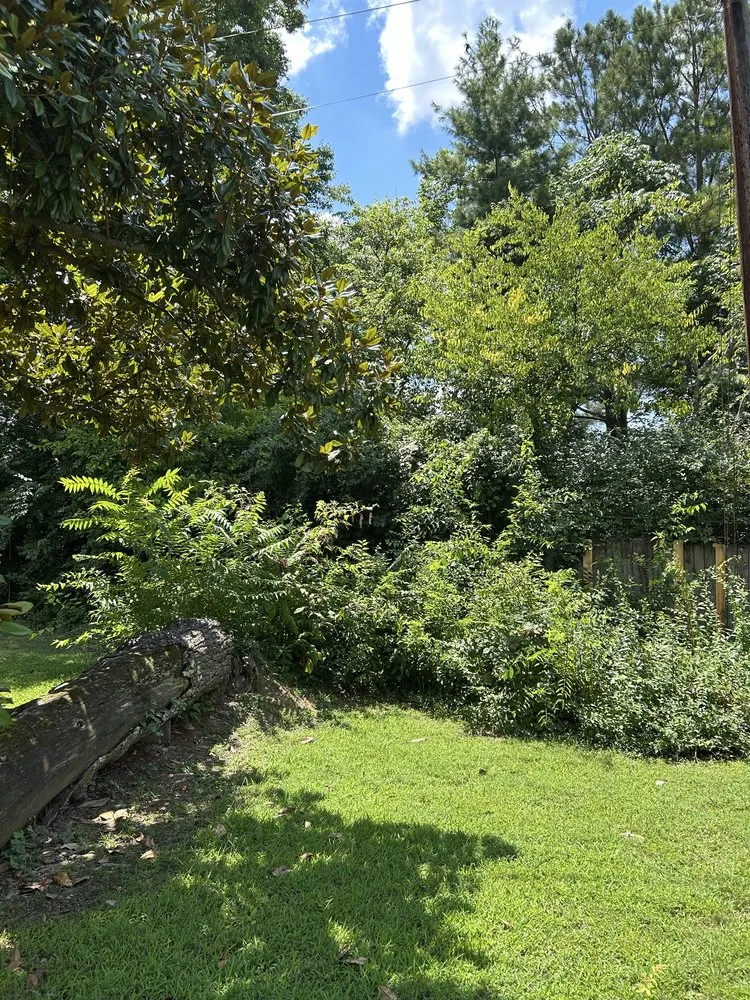 Affordable yard maintenance with custom design across Newport, TN - Will’s Lawn Service Plus