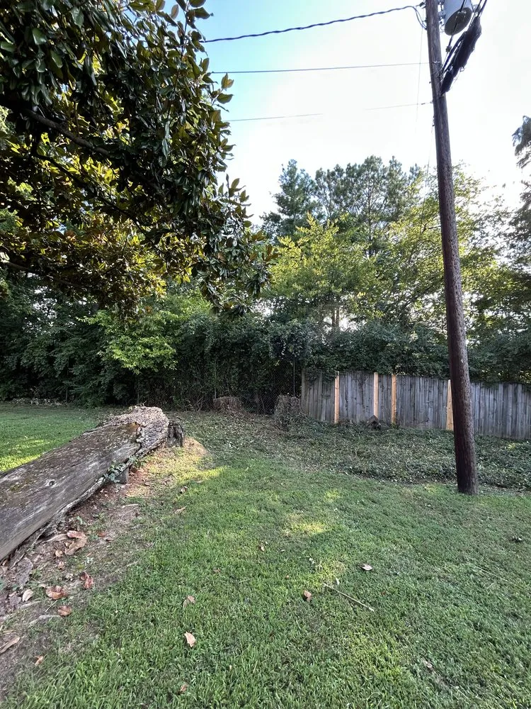 Reliable outdoor landscaping in Newport, TN by Will’s Lawn Service Plus