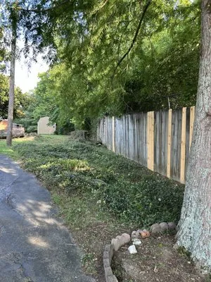 Will’s Lawn Service Plus Logo