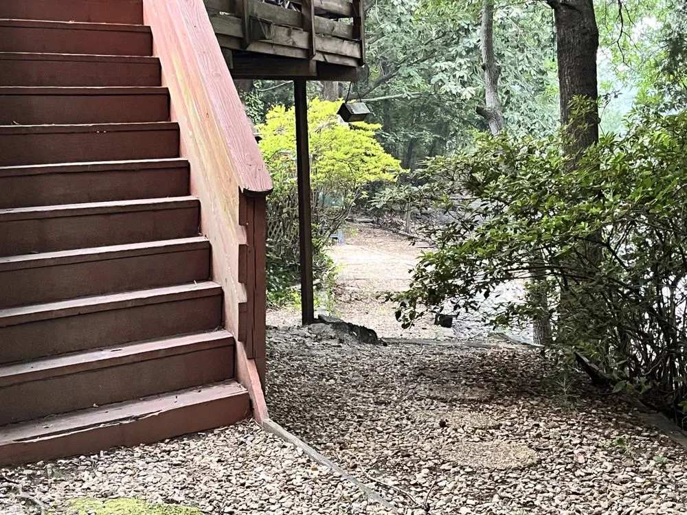 Top-rated yard cleanup service near you in Virginia Beach, VA by Wills Perfect Turf