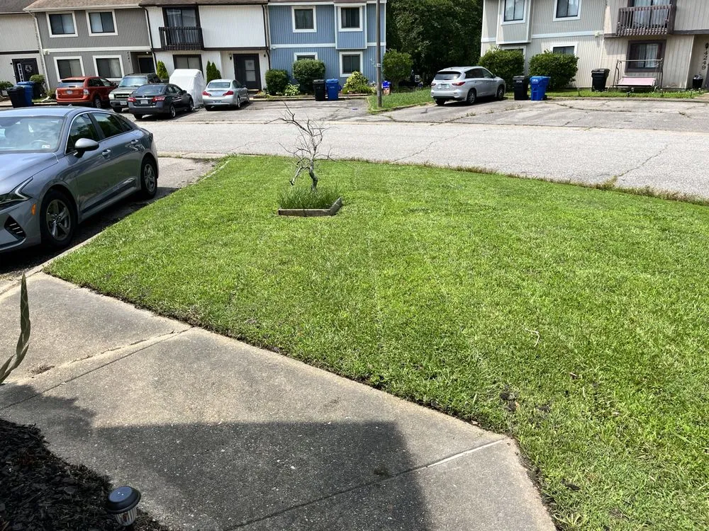 Trusted residential landscaping in Virginia Beach, VA by Wills Perfect Turf
