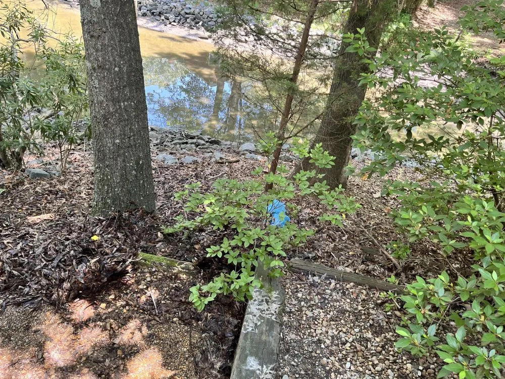 Trusted landscape design near you across Virginia Beach, VA - Wills Perfect Turf