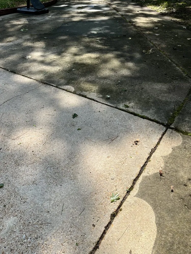 Reliable landscape design in Virginia Beach, VA by Wills Perfect Turf