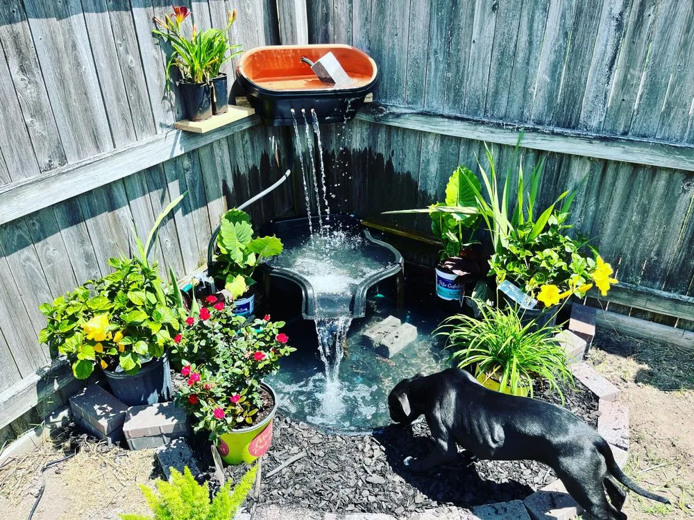 Local garden landscaping in Virginia Beach, VA - Wills Perfect Turf