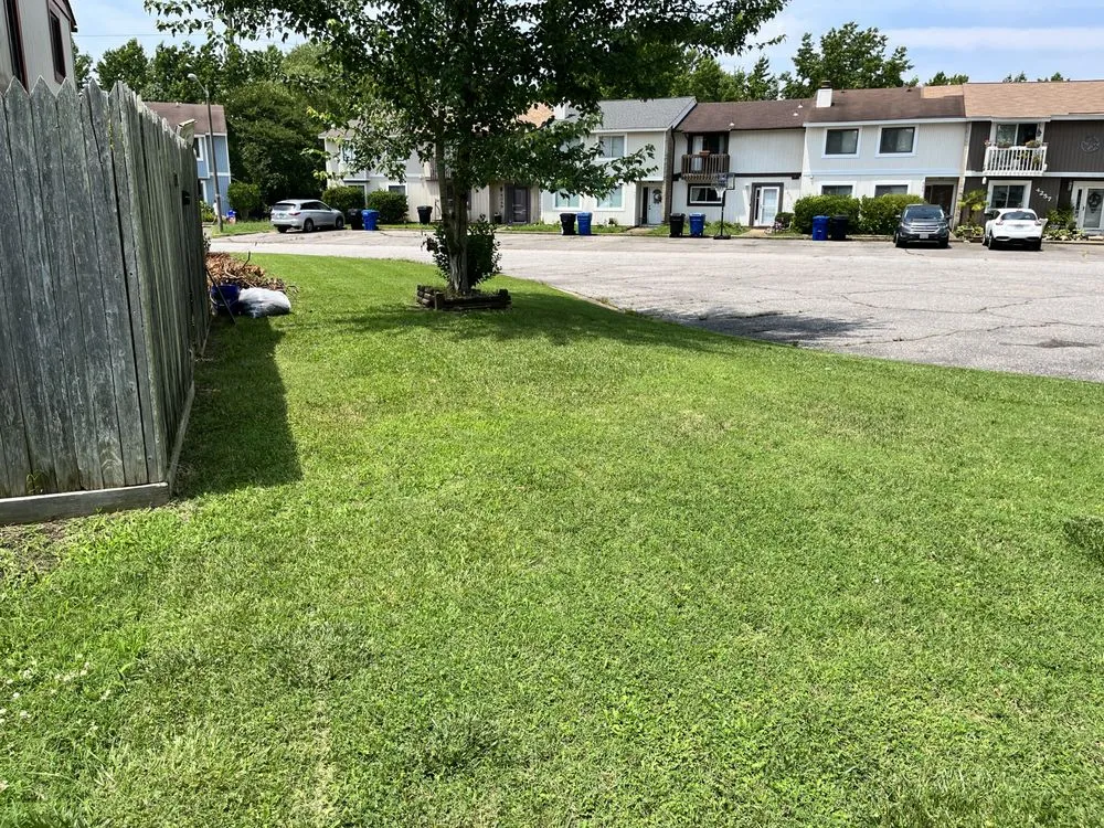 Affordable yard cleanup service in Virginia Beach, VA - Wills Perfect Turf