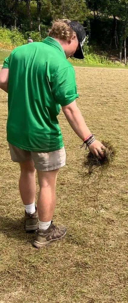 Local lawn mowing service experts serving Hendersonville, TN - Wills Pro Turf Designs