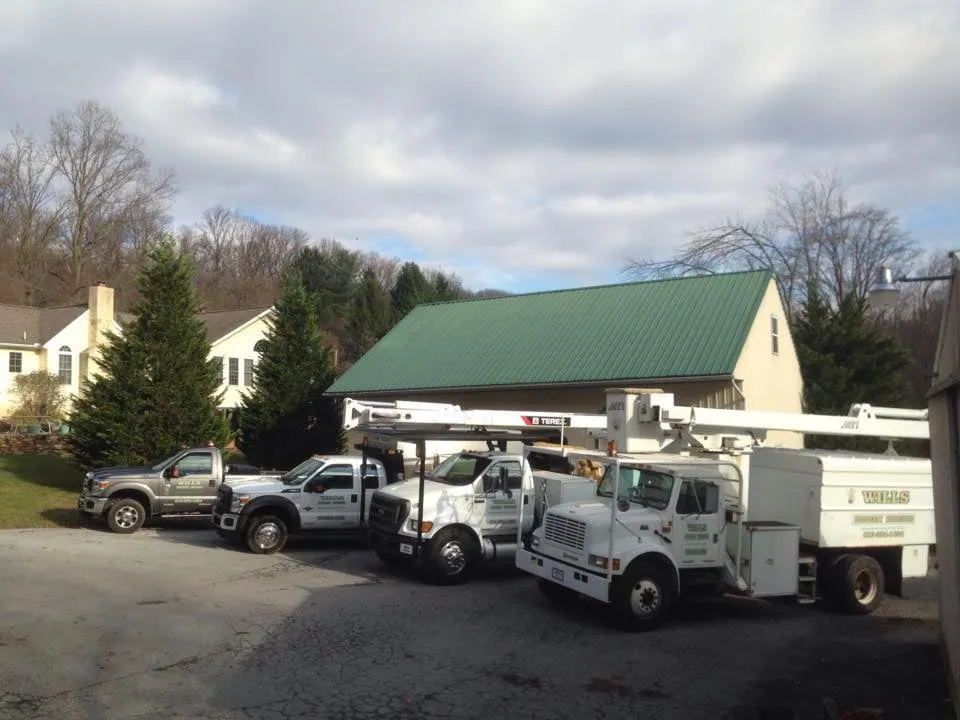 Local garden landscaping in Coatesville, PA - Wills Property Maintenance