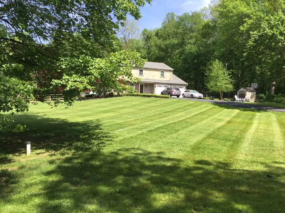 Professional yard cleanup service for outdoor upgrades across Coatesville, PA - Wills Property Maintenance