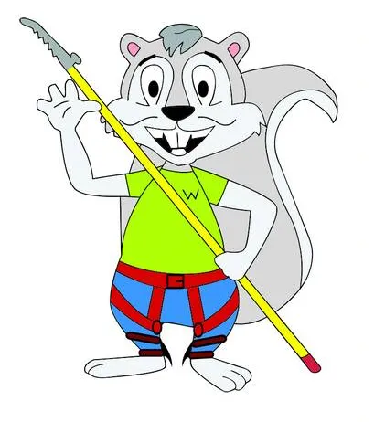 Custom lawn care service in Coatesville, PA - Wills Property Maintenance