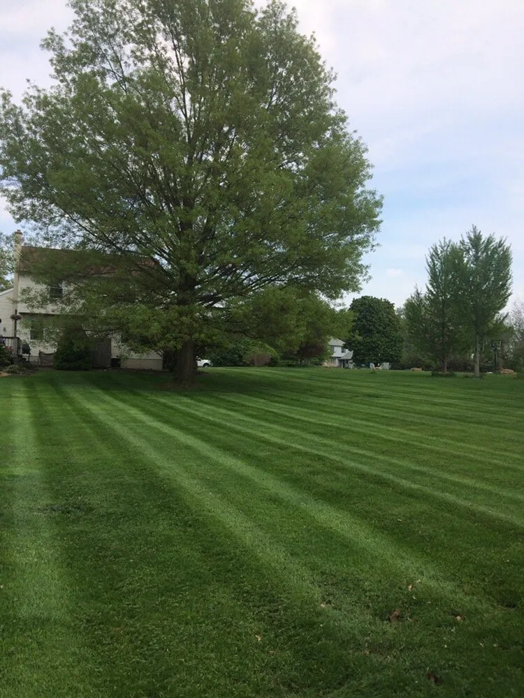 Expert outdoor landscaping for year-round maintenance in Coatesville, PA by Wills Property Maintenance