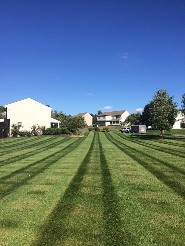 Professional yard maintenance in Coatesville, PA by Wills Property Maintenance