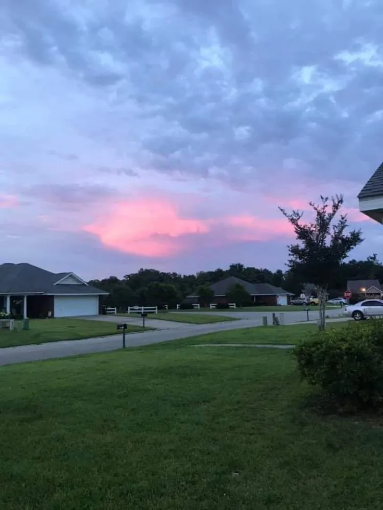 Top-rated outdoor landscaping for beautiful yards in Robertsdale, AL by Will's Proscape Lawn Maintenance Service