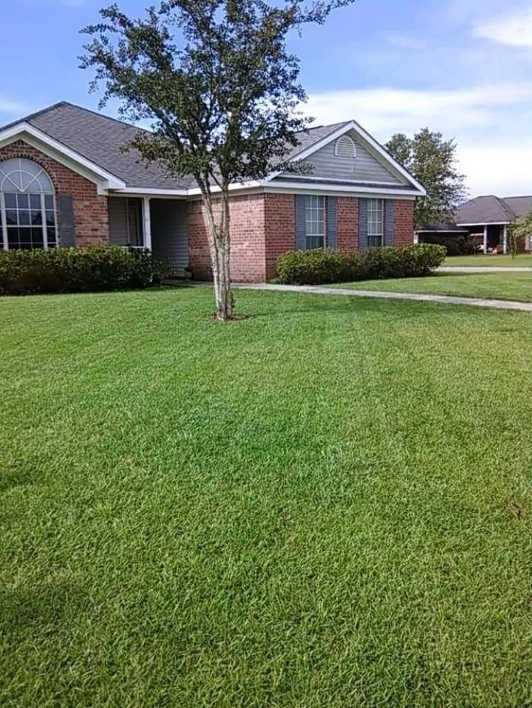 Expert landscape design for outdoor upgrades in Robertsdale, AL by Will's Proscape Lawn Maintenance Service