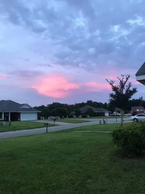 Will's Proscape Lawn Maintenance Service