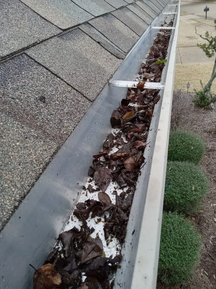 Affordable yard maintenance near you in Bossier City, LA by Wills Remodeling, Landscaping, and Gardening