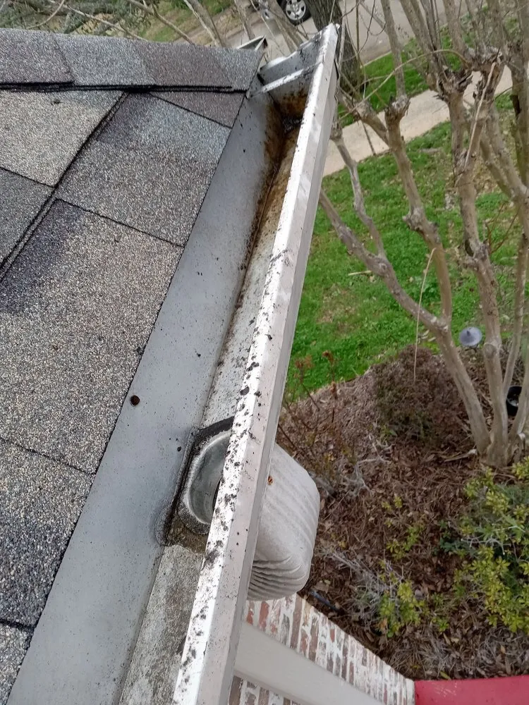 Local landscaping services experts serving Bossier City, LA - Wills Remodeling, Landscaping, and Gardening