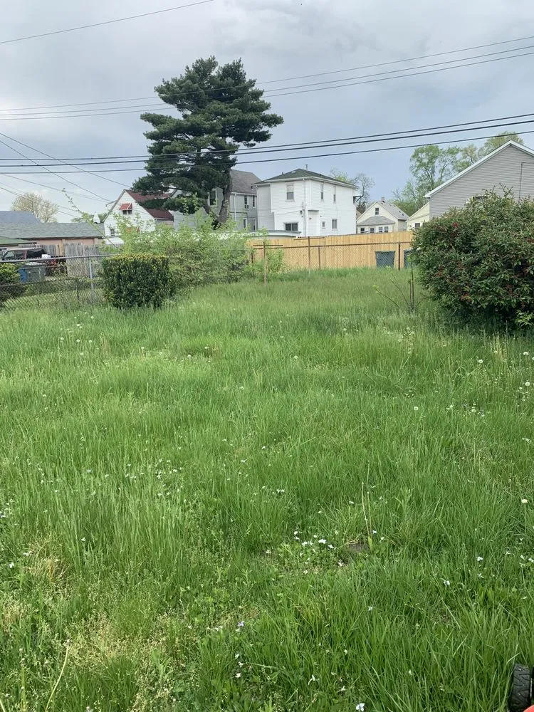 Trusted yard cleanup service in Gary, IN - Will’s Snow&LawnCare Sevice