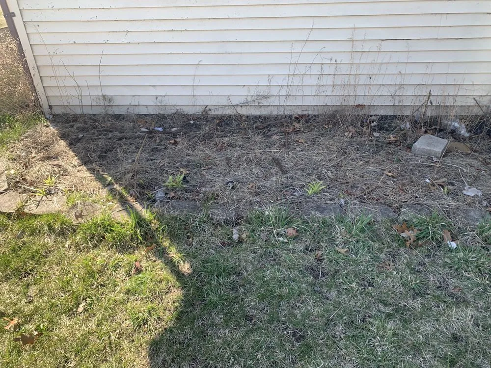 Professional landscaping services in Gary, IN by Will’s Snow&LawnCare Sevice