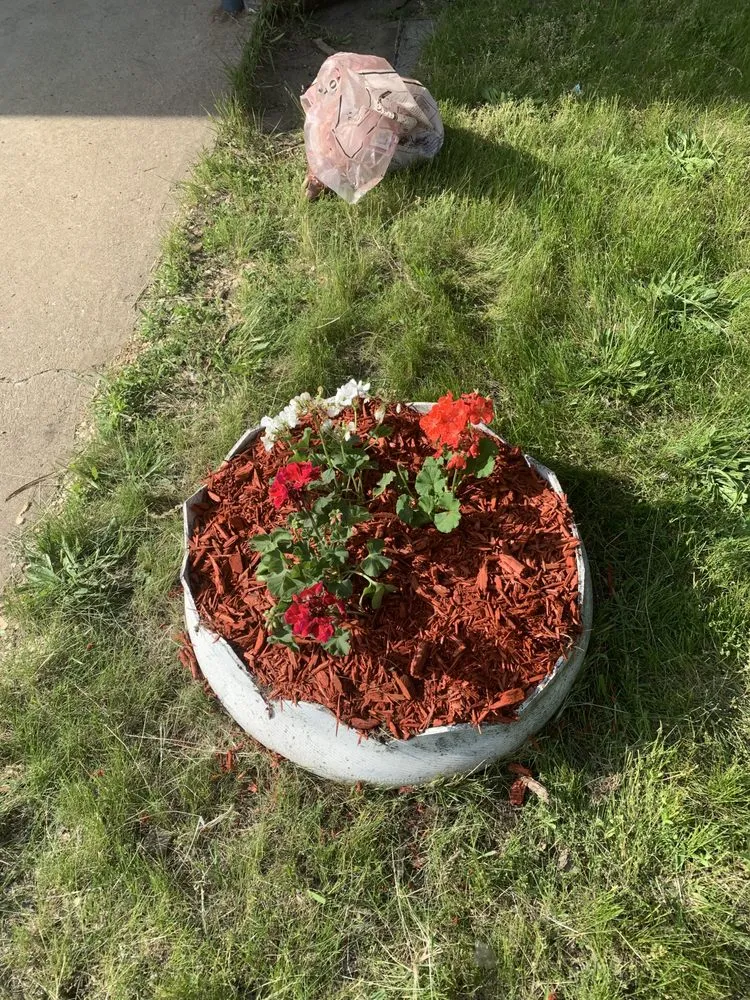 Affordable yard cleanup service in Gary, IN - Will’s Snow&LawnCare Sevice