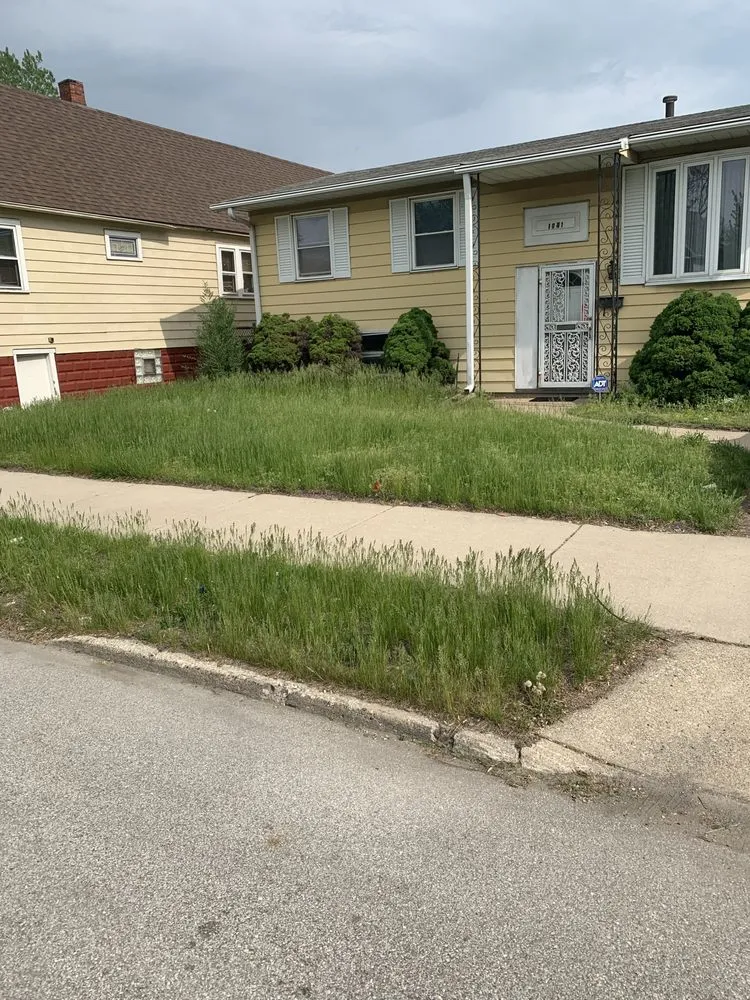 Top-rated landscape design for homes in Gary, IN by Will’s Snow&LawnCare Sevice