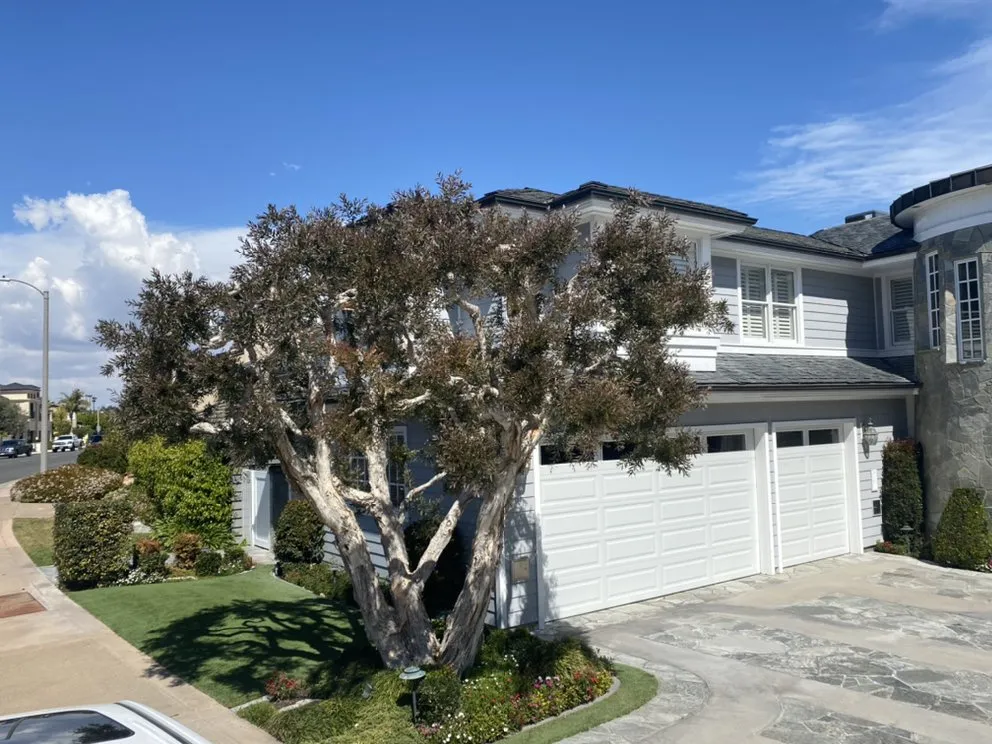 Affordable garden landscaping experts serving Costa Mesa, CA - Will’s Tree & Lawn Maintenance Service