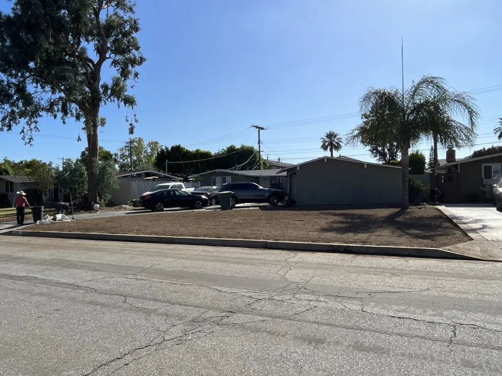 Local yard maintenance in Costa Mesa, CA - Will’s Tree & Lawn Maintenance Service