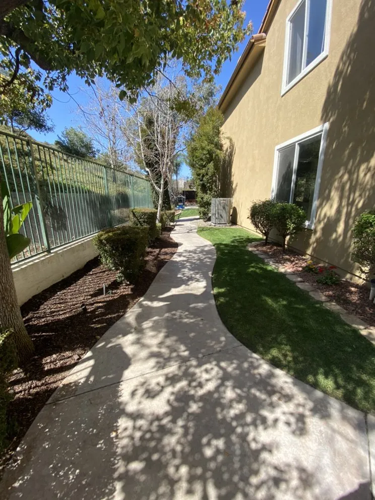 Trusted lawn care service in Costa Mesa, CA - Will’s Tree & Lawn Maintenance Service