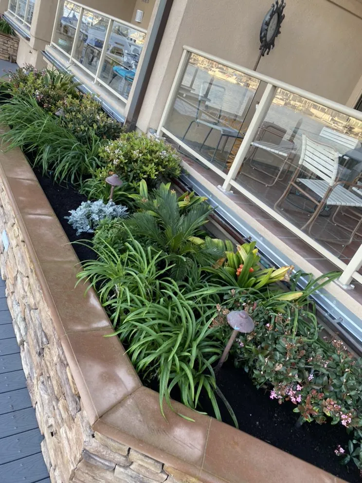 Professional landscape installation near you across Costa Mesa, CA - Will’s Tree & Lawn Maintenance Service