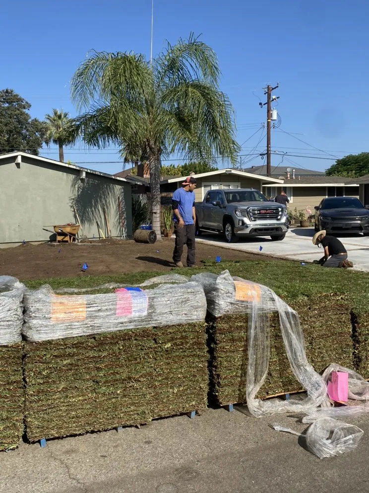 Affordable lawn care service in Costa Mesa, CA - Will’s Tree & Lawn Maintenance Service