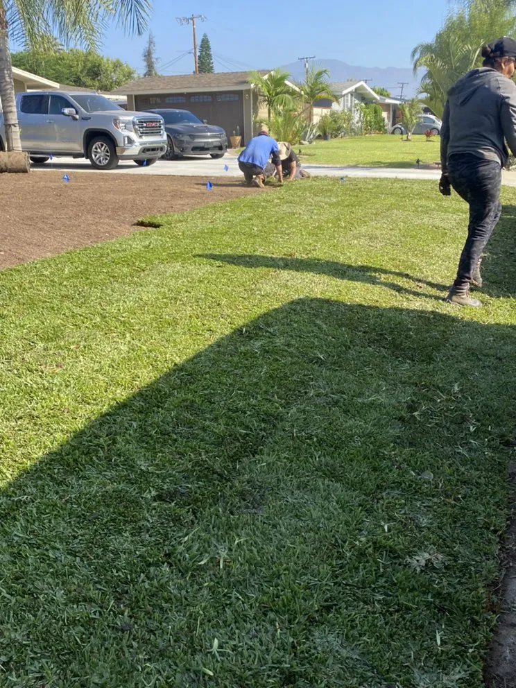 Expert garden landscaping for outdoor upgrades in Costa Mesa, CA by Will’s Tree & Lawn Maintenance Service