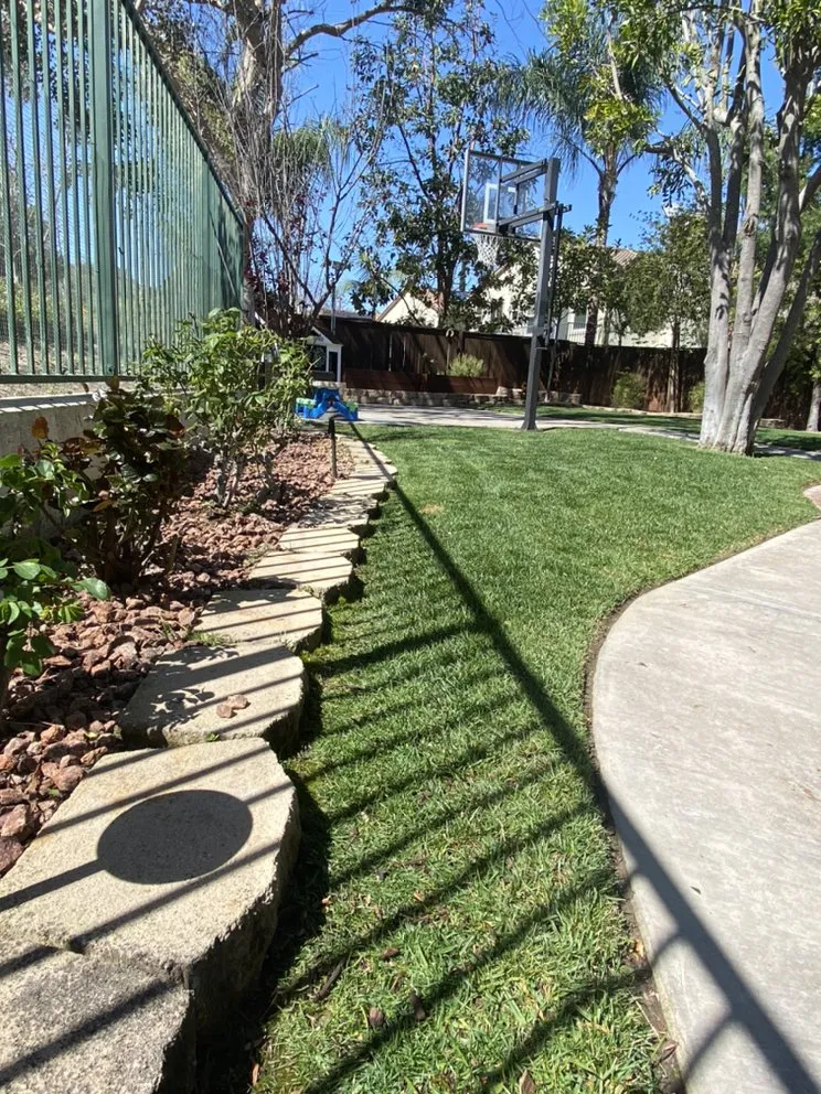 Affordable landscaping services for outdoor upgrades across Costa Mesa, CA - Will’s Tree & Lawn Maintenance Service