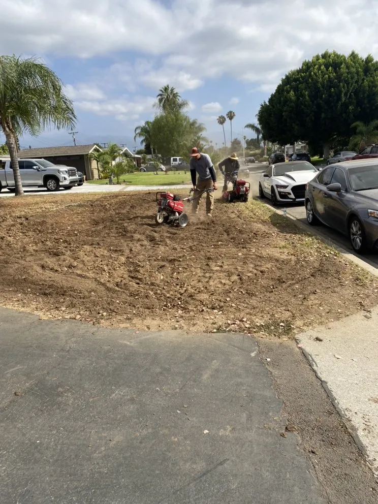Expert lawn mowing service in Costa Mesa, CA - Will’s Tree & Lawn Maintenance Service