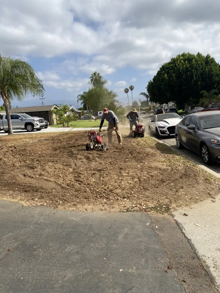 Custom lawn mowing service in Costa Mesa, CA by Will’s Tree & Lawn Maintenance Service
