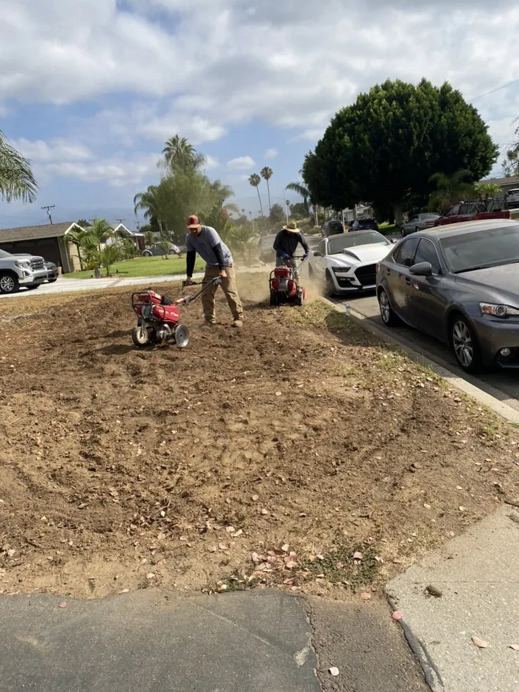 Expert lawn mowing service with custom design across Costa Mesa, CA - Will’s Tree & Lawn Maintenance Service