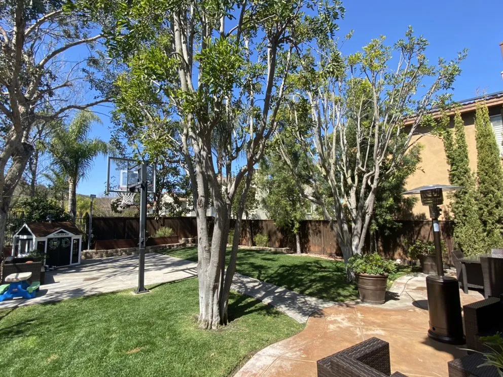 Custom lawn care service in Costa Mesa, CA - Will’s Tree & Lawn Maintenance Service