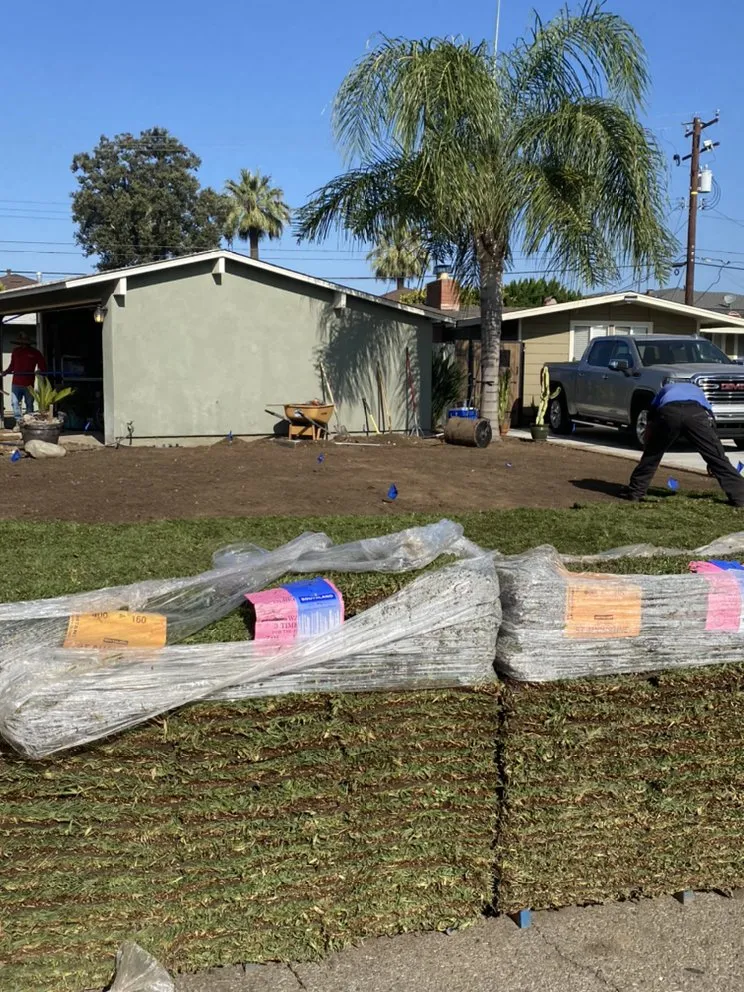 Affordable residential landscaping for beautiful yards in Costa Mesa, CA by Will’s Tree & Lawn Maintenance Service