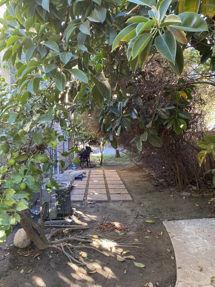 Top-rated residential landscaping experts serving Costa Mesa, CA - Will’s Tree & Lawn Maintenance Service