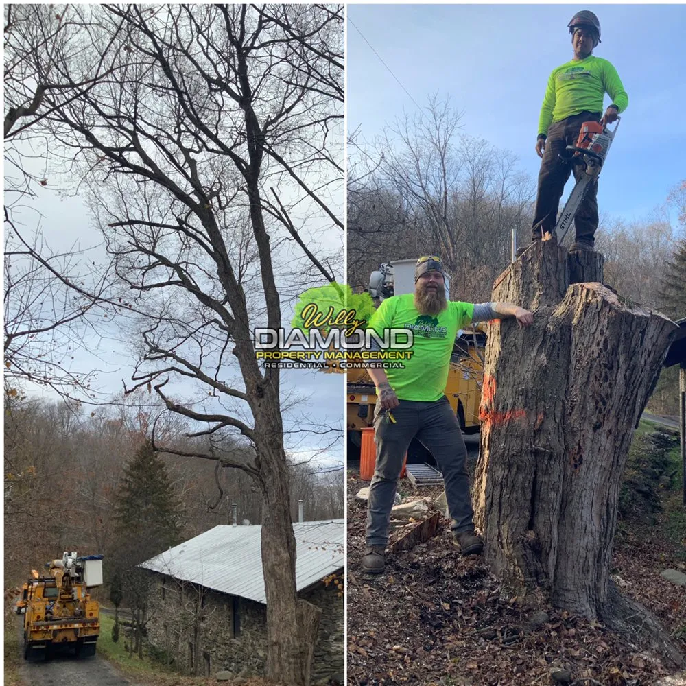 Trusted outdoor landscaping for residential properties across Newburgh, NY - Willy Diamond Property Management